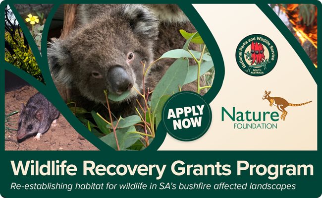 Wildlife Recovery Fund banner
