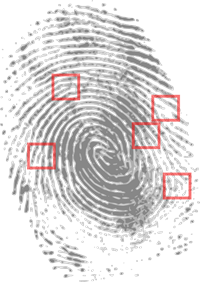 fingerprint