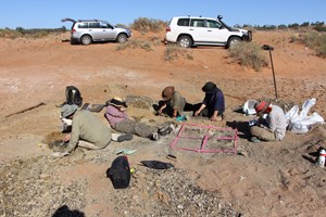 Excavation site at Lake Pinpa. Fossils are found in a thin clay layer close to the surface. Photo by A. Camens