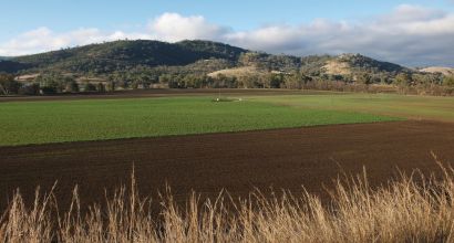 Smart Farms Small Grants