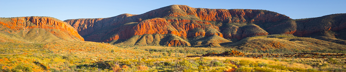 Australian outback scene