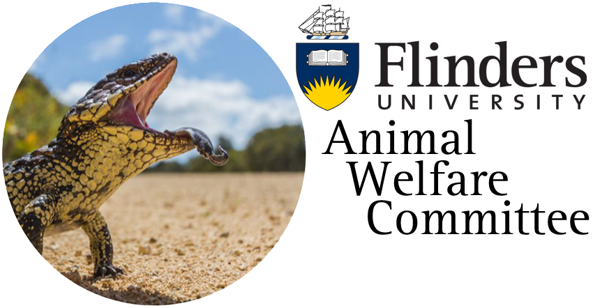 Flinders Research News:Seeking interested researchers to join the CMPH Animal Ethics Review Sub ...