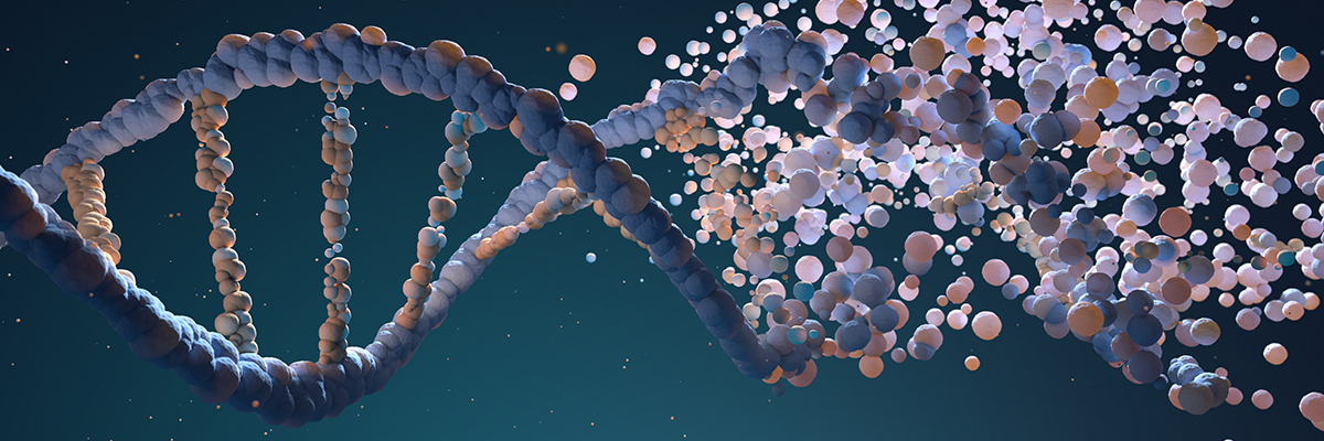 dna-strand-assembling-from-different-elements