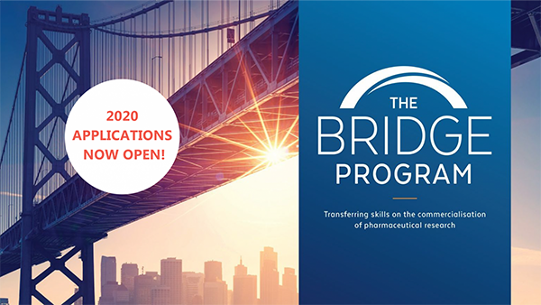 The Bridge Program